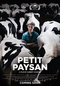 Petit Paysan