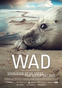 Wad