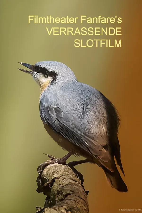 Filmtheater Fanfare's Verrassende slotfilm