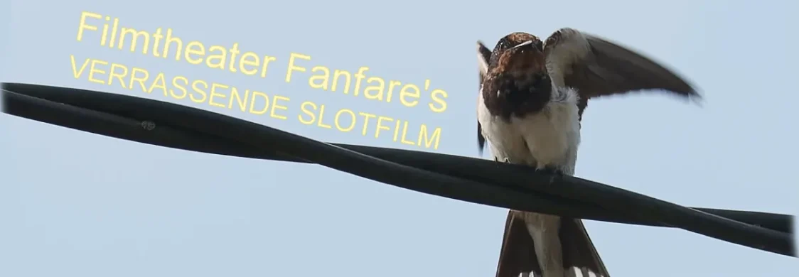 S_filmtheater_fanfares_verrassende_slotfilm.webp